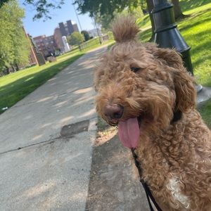 Meet your Posher, Haley